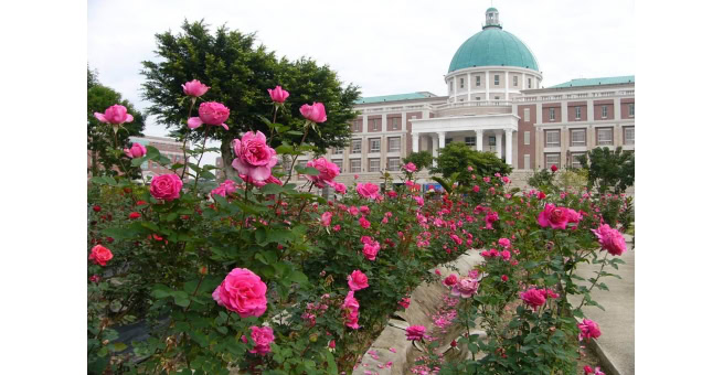 Khu&ocirc;n vi&ecirc;n Đại học &Aacute; Ch&acirc;u